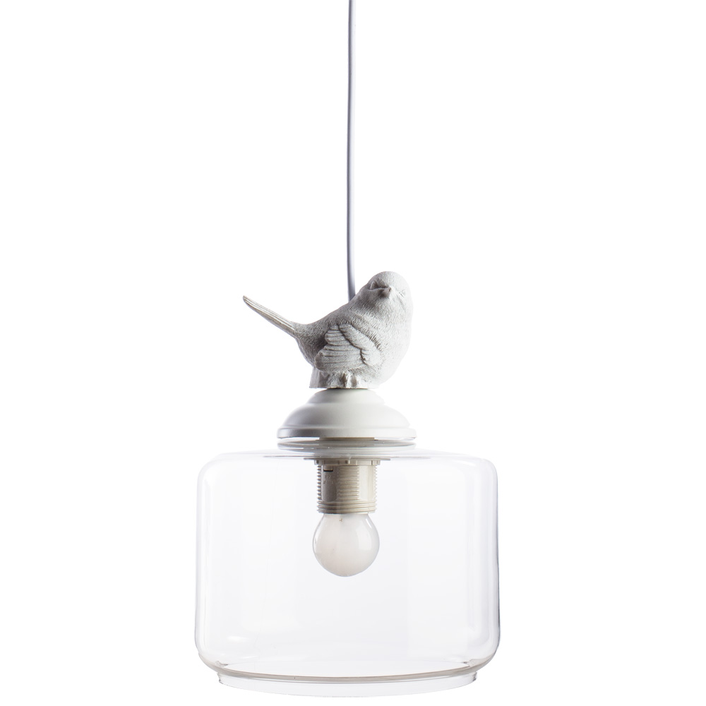 Светильник подвесной Arte Lamp PASSERO